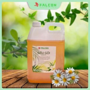 Can dầu gội 10L