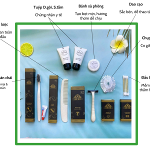 Combo 11 Bộ amenities lúa mạch sang trọng bao bì vỏ hộp giấy